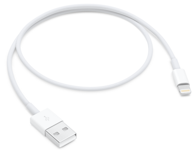 Apple Lightning to USB Cable 0.5m