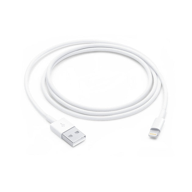 Apple Lightning to USB Cable 1m